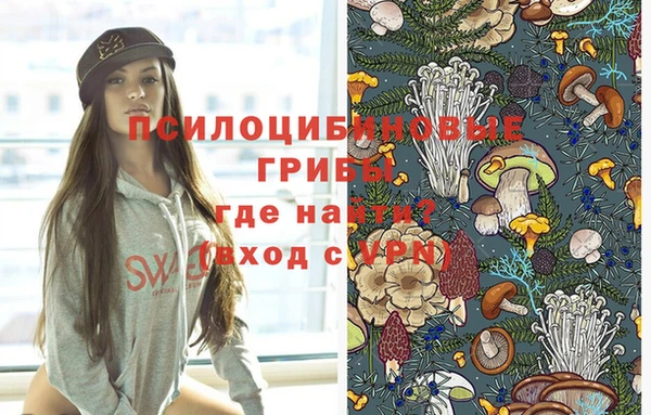спиды Покровск