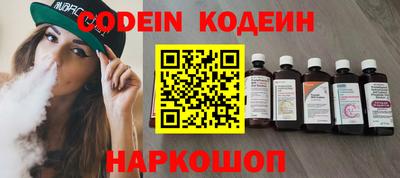 мдпв Кингисепп
