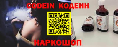 мдпв Кингисепп