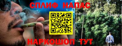 мдпв Кингисепп