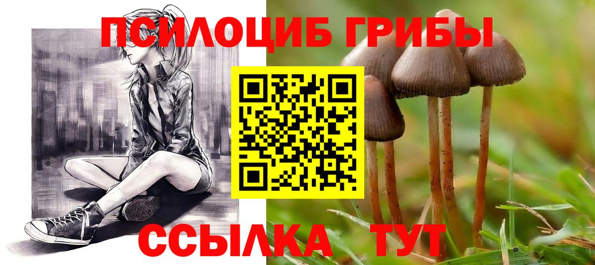 Россошь  Галлюциногенные грибы мухоморы  Псилоцибиновые грибы прущие грибы  Вход с VPN 
